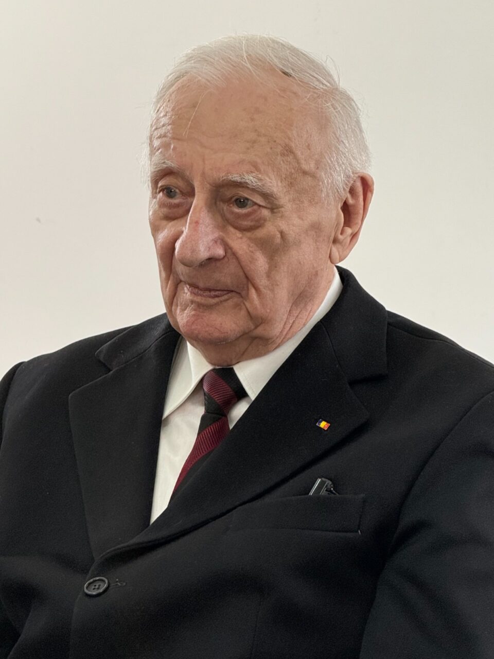 Artistul plastic Radu Bercea