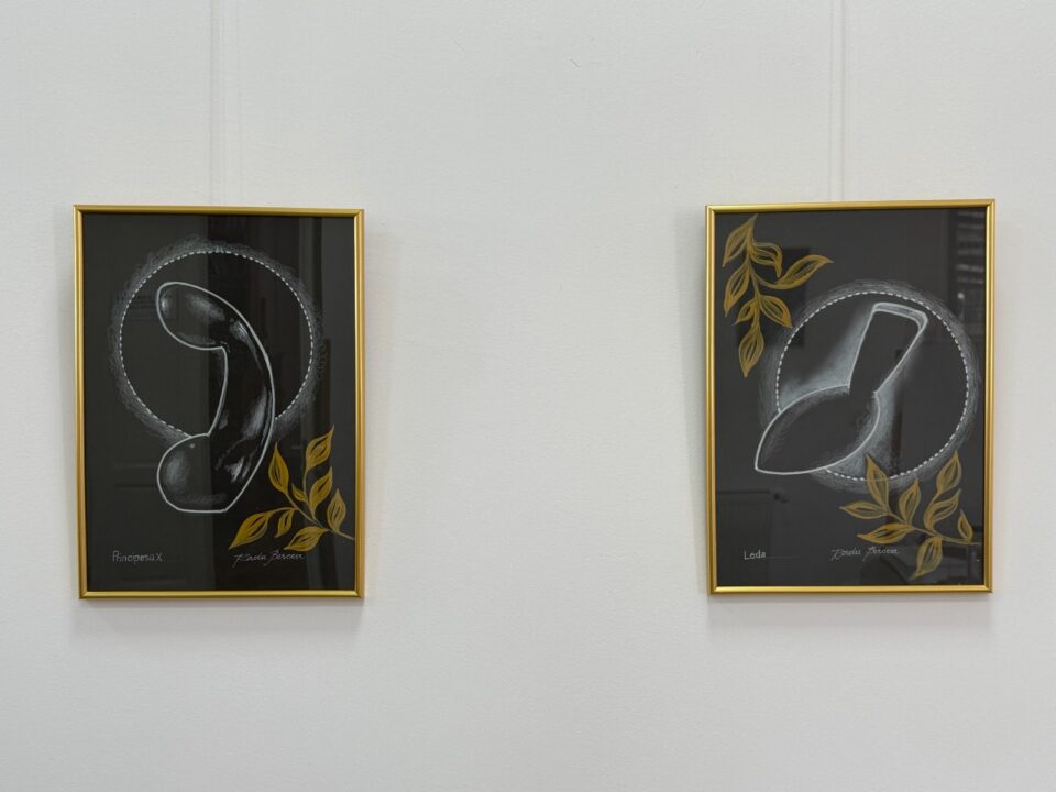 Lucrări în expoziția de la Fălticeni, purtând semnătura Radu Bercea