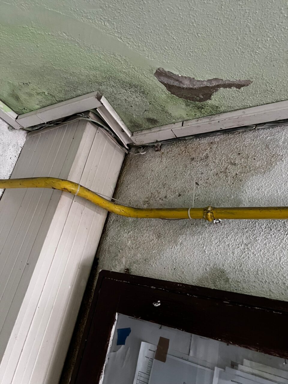 Infiltrații de apă și igrasie pe casa scării, care afecteaza si locuintele vecinilor, de la apartamentul cavernă