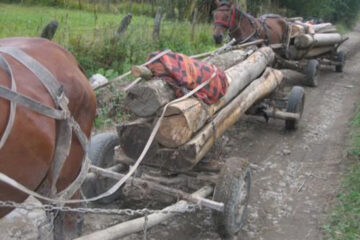 „Roadele hărniciei”