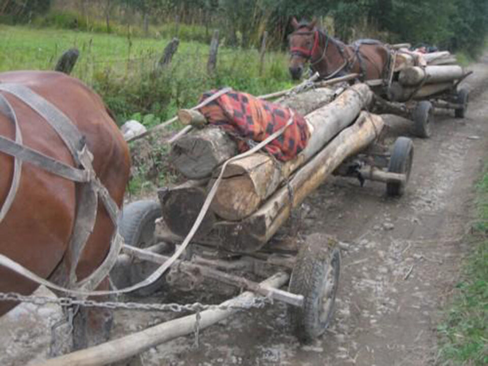 „Roadele hărniciei”