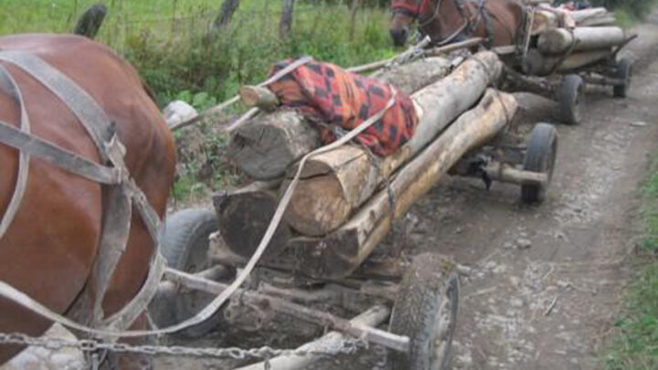 „Roadele hărniciei”