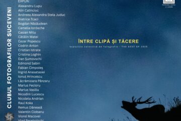 Expoziția colectivă de fotografie „Între clipă și tăcere”, la Vatra Dornei