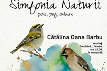 Expoziția „Simfonia Naturii – pene, puf, culoare”, duminică, la Muzeul Arta Lemnului Expoziția „Simfonia Naturii – pene, puf, culoare”, duminică, la Muzeul Arta Lemnului