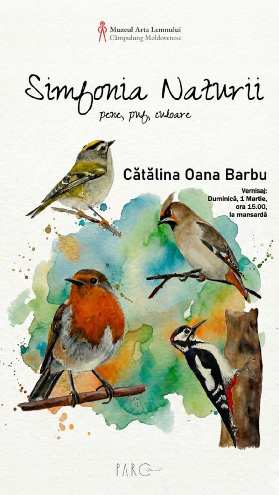 Expoziția „Simfonia Naturii – pene, puf, culoare”, duminică, la Muzeul Arta Lemnului Expoziția „Simfonia Naturii – pene, puf, culoare”, duminică, la Muzeul Arta Lemnului