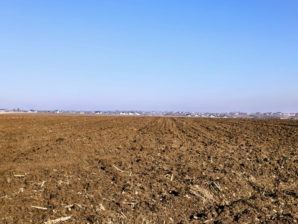 Culturile de toamnă din județ se prezintă optim, cu perspective bune de producție