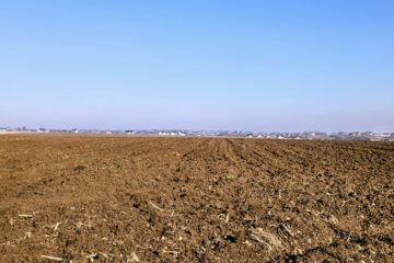 Culturile de toamnă din județ se prezintă optim, cu perspective bune de producție