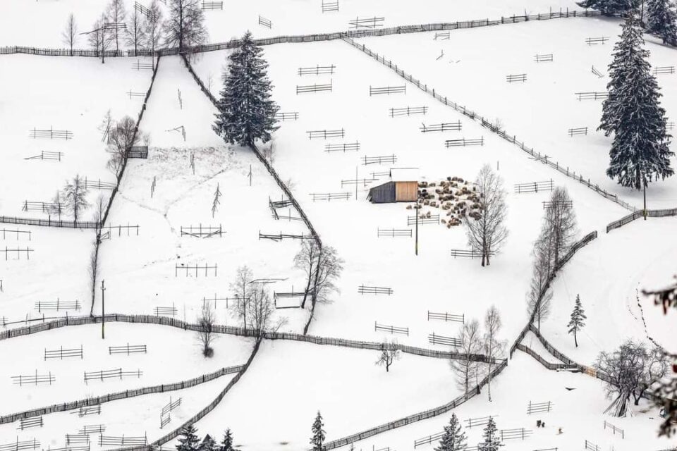 Patru medalii de aur și două de argint obținute recent de Codrin Anton, la saloane de fotografie internaționale