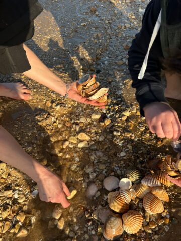 Profesori de la Gălănești, în proiect Erasmus+ în Portugalia