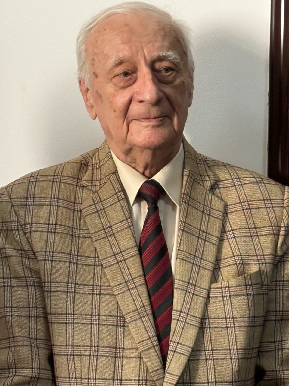 Artistul plastic Radu Bercea