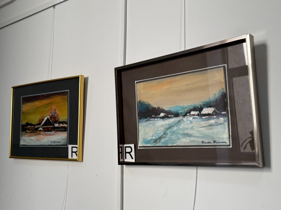 Expoziția „Culori”, semnată de artistul Radu Bercea, a fost vernisată astăzi la Biblioteca Bucovinei Expoziția „Culori”, semnată de artistul Radu Bercea, a fost vernisată astăzi la Biblioteca Bucovinei