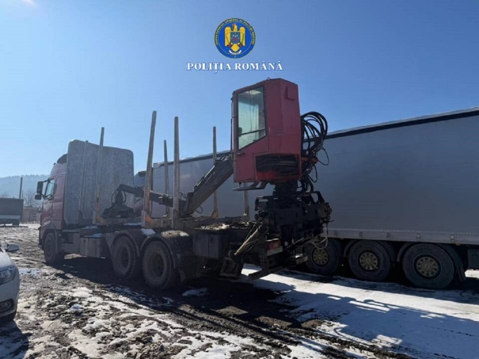 Patronul pensiunii ”Codrii Bucovinei”, călcat din nou de polițiști: două autotrenuri puse sub sechestru și pază cu jandarmii, pentru ridicarea unei cantități foarte mari de lemn