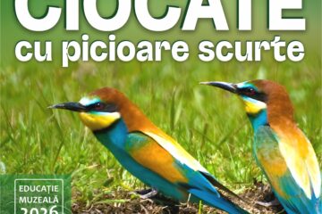 Lecția de muzeu pentru copii „Ciocate cu picioare scurte”, la Muzeul de Științele Naturii Lecția de muzeu pentru copii „Ciocate cu picioare scurte”, la Muzeul de Științele Naturii