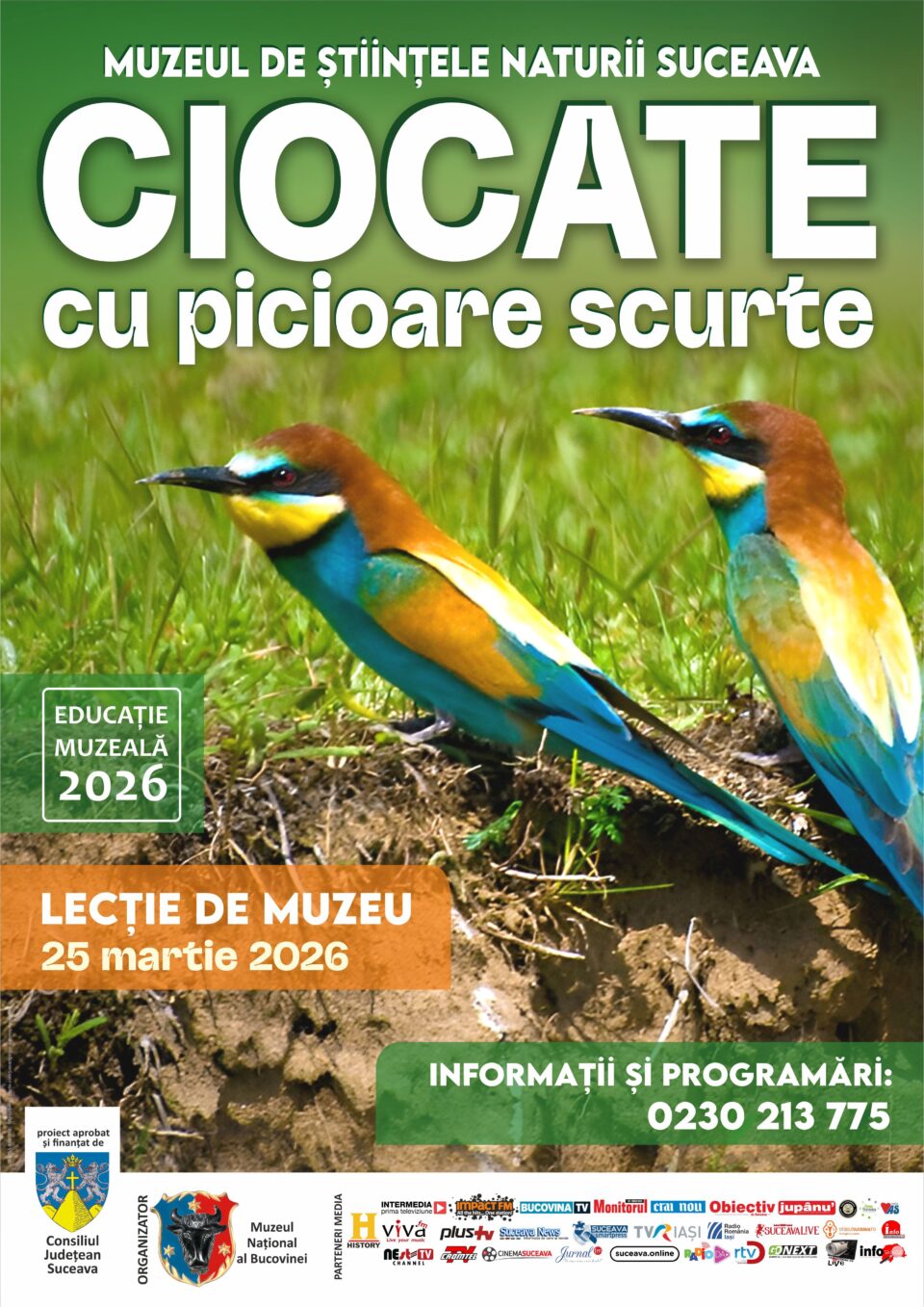 Lecția de muzeu pentru copii „Ciocate cu picioare scurte”, la Muzeul de Științele Naturii