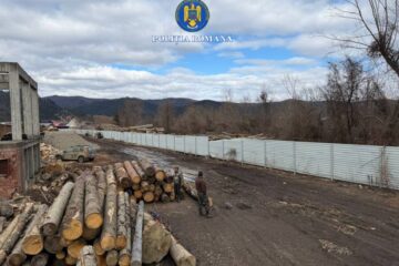 Patronul pensiunii ”Codrii Bucovinei”, călcat din nou de polițiști: două autotrenuri puse sub sechestru și pază cu jandarmii, pentru ridicarea unei cantități foarte mari de lemn Patronul pensiunii ”Codrii Bucovinei”, călcat din nou de polițiști: două autotrenuri puse sub sechestru și pază cu jandarmii, pentru ridicarea unei cantități foarte mari de lemn
