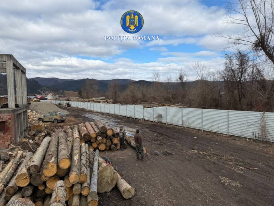 Patronul pensiunii ”Codrii Bucovinei”, călcat din nou de polițiști: două autotrenuri puse sub sechestru și pază cu jandarmii, pentru ridicarea unei cantități foarte mari de lemn