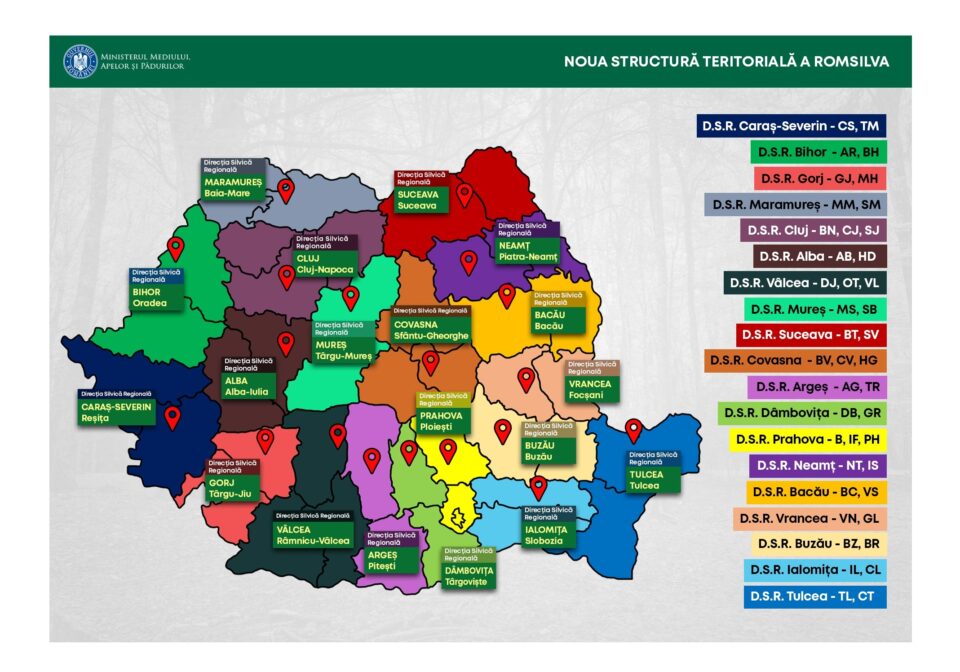 Direcțiile Silvice Suceava și Botoșani vor fi comasate în Direcția Silvică Regională Suceava