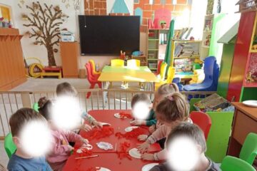 În plan secund, gardul folosit