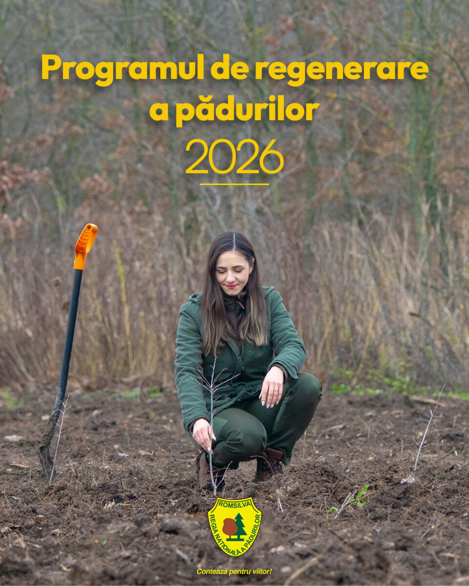 25 de milioane de puieți vor fi plantați de Romsilva în campaniile de împăduriri din acest an