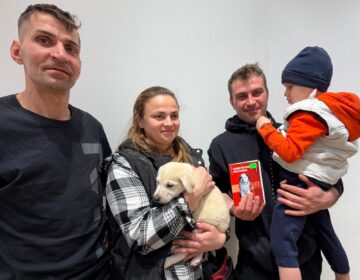 Șapte căței și-au găsit familii la târgul de adopții organizat de Adăpostul Public Suceava