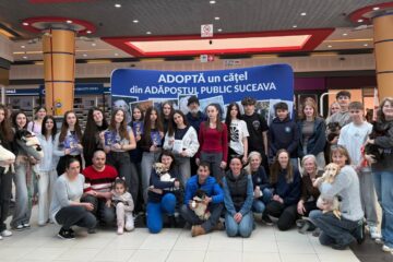 Șapte căței și-au găsit familii la târgul de adopții organizat de Adăpostul Public Suceava