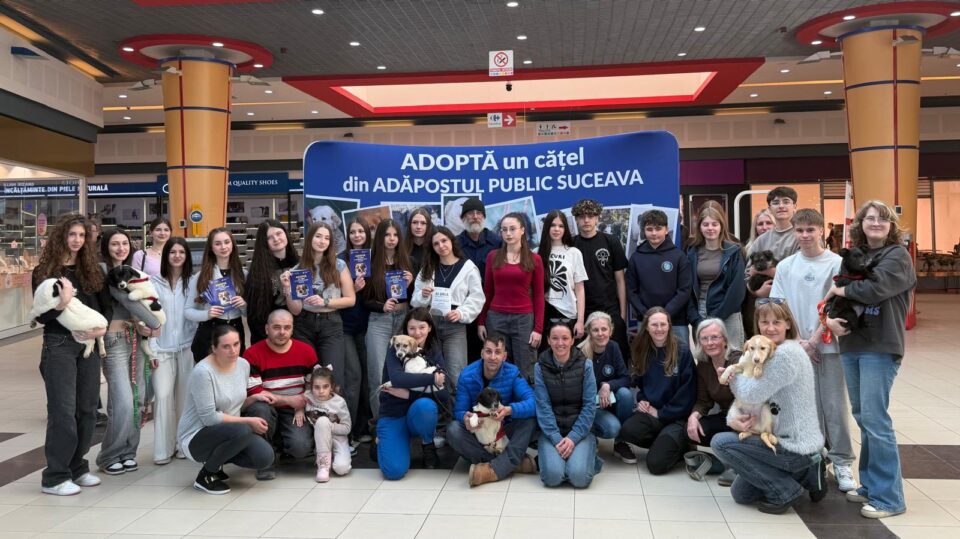 Șapte căței și-au găsit familii la târgul de adopții organizat de Adăpostul Public Suceava