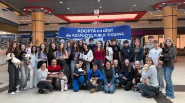 Șapte căței și-au găsit familii la târgul de adopții organizat de Adăpostul Public Suceava