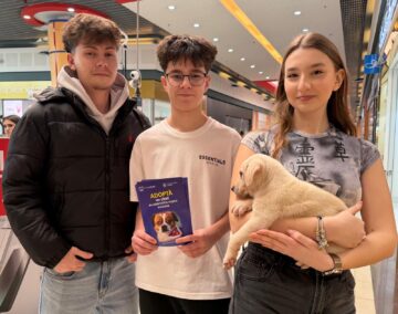 Șapte căței și-au găsit familii la târgul de adopții organizat de Adăpostul Public Suceava