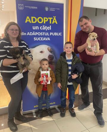 Șapte căței și-au găsit familii la târgul de adopții organizat de Adăpostul Public Suceava