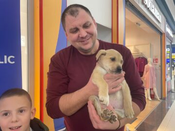 Șapte căței și-au găsit familii la târgul de adopții organizat de Adăpostul Public Suceava