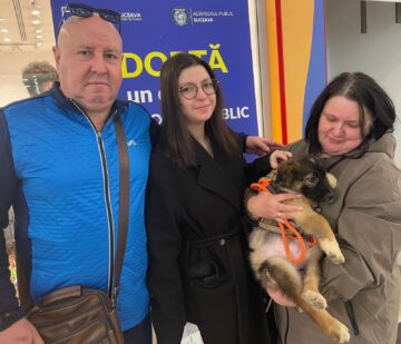 Șapte căței și-au găsit familii la târgul de adopții organizat de Adăpostul Public Suceava