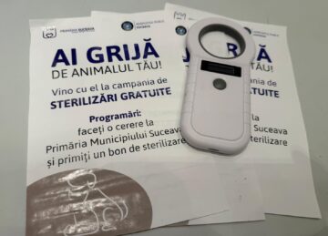 Șapte căței și-au găsit familii la târgul de adopții organizat de Adăpostul Public Suceava