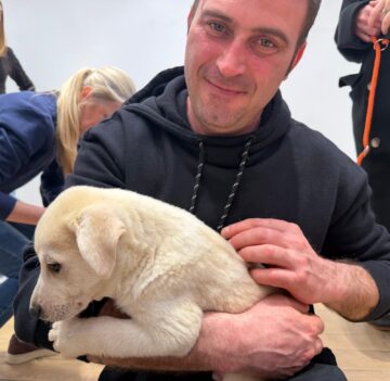 Șapte căței și-au găsit familii la târgul de adopții organizat de Adăpostul Public Suceava