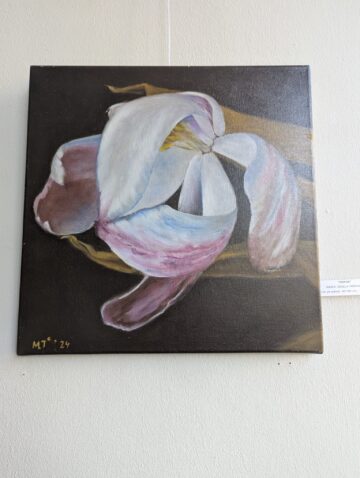 „Germinație”, un demers artistic care propune publicului o reflecție asupra momentului originar al creației