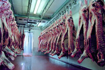 „Antrepozitul frigorific”