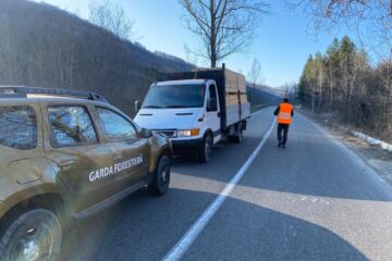 Controale pe drumurile publice, făcute de Garda Forestieră Suceava