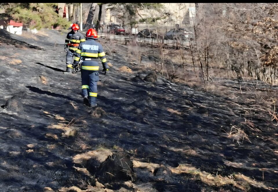 Pompierii avertizează că reîncepe sezonul incendiilor de vegetație, care pot provoca mari pagube sau pierderi de vieți