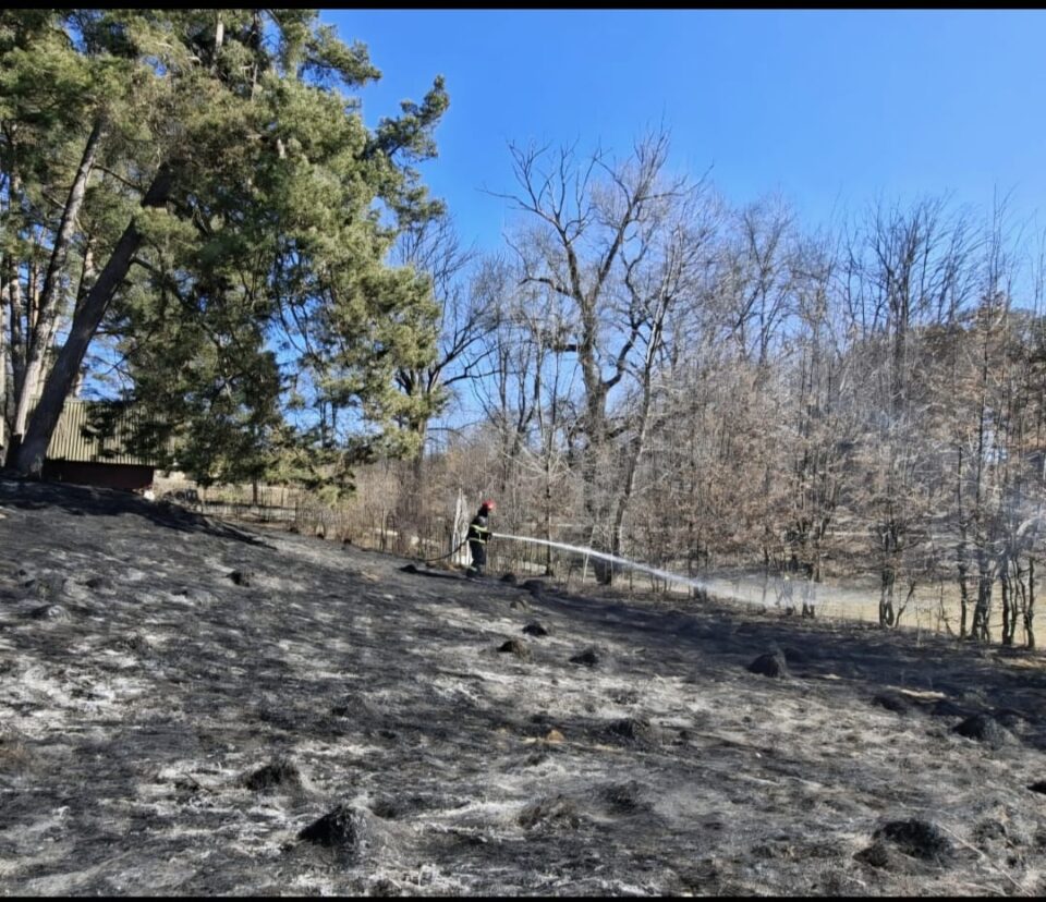 Pompierii avertizează că reîncepe sezonul incendiilor de vegetație, care pot provoca mari pagube sau pierderi de vieți