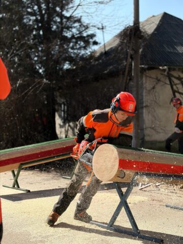 Trei tineri suceveni, în echipa României la Campionatul Mondial de Tăiere a Lemnului din Slovenia