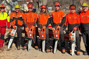 Trei tineri suceveni, în echipa României la Campionatul Mondial de Tăiere a Lemnului din Slovenia