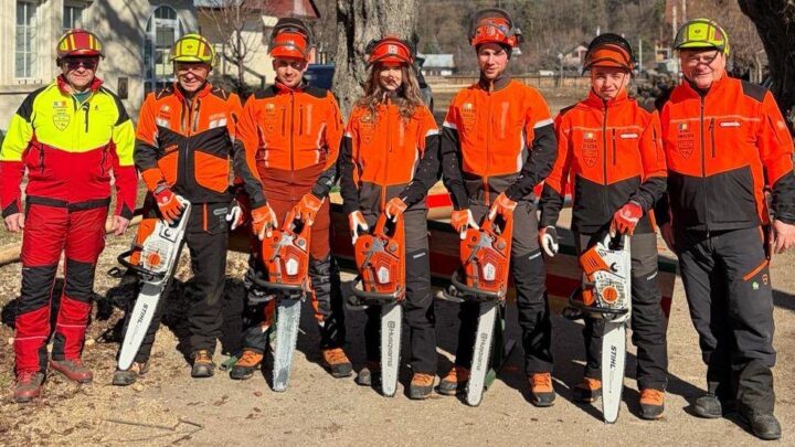 Trei tineri suceveni, în echipa României la Campionatul Mondial de Tăiere a Lemnului din Slovenia