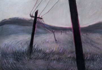 A trecut în veșnicie Andrei Coca, tânăr polivalent, artist vizionar, originar din Straja