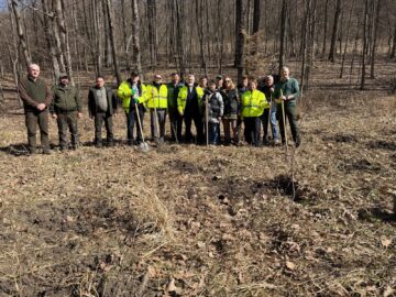 200 de stejari pedunculați plantați pentru a marca 23 de ani de la înființarea Gărzii Naționale de Mediu