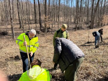 200 de stejari pedunculați plantați pentru a marca 23 de ani de la înființarea Gărzii Naționale de Mediu