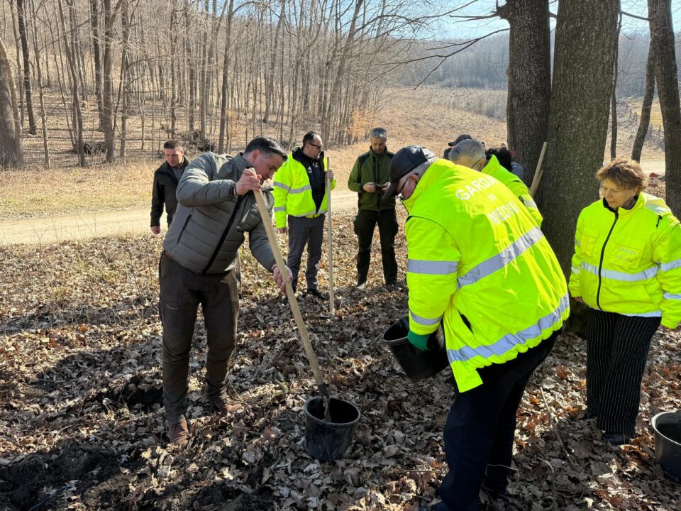200 de stejari pedunculați plantați pentru a marca 23 de ani de la înființarea Gărzii Naționale de Mediu