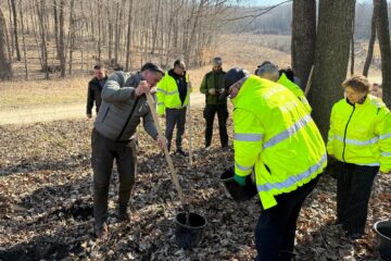 200 de stejari pedunculați plantați pentru a marca 23 de ani de la înființarea Gărzii Naționale de Mediu
