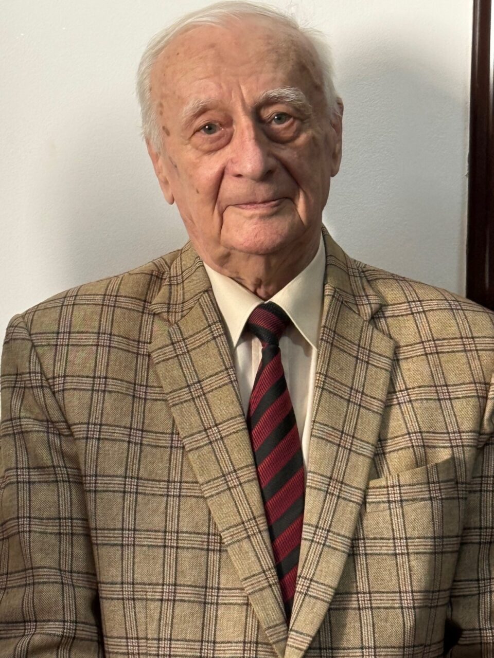 Artistul plastic Radu Bercea