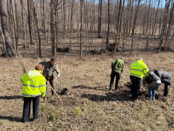 200 de stejari pedunculați plantați pentru a marca 23 de ani de la înființarea Gărzii Naționale de Mediu