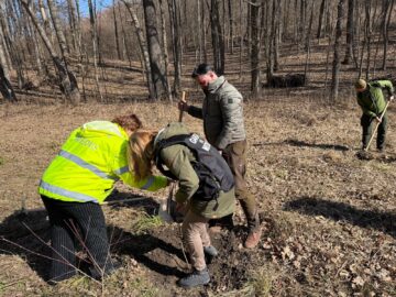 200 de stejari pedunculați plantați pentru a marca 23 de ani de la înființarea Gărzii Naționale de Mediu