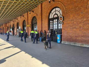 Polițiștii au găsit zece călători care circulau cu trenul fără a avea bilete